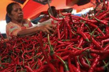Cabe Merah Meroket Rp70 Ribu Per Kilo di Bengkalis